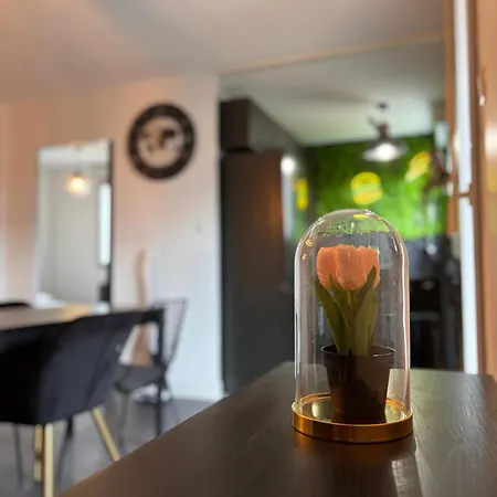 Charmant Appartement Toulouse *