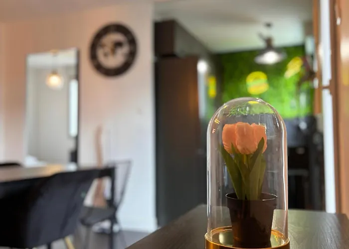 Charmant Appartement Toulouse *