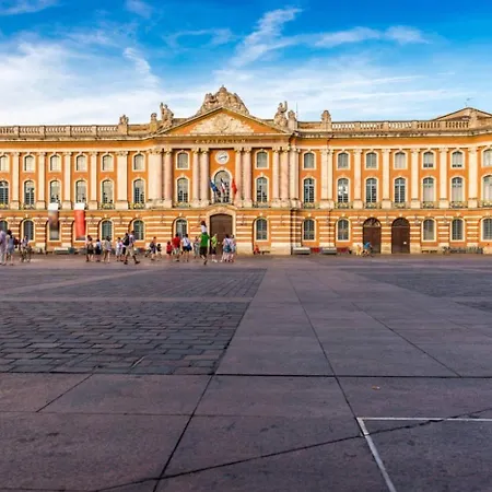 Apartment Charmant Appartement Toulouse *